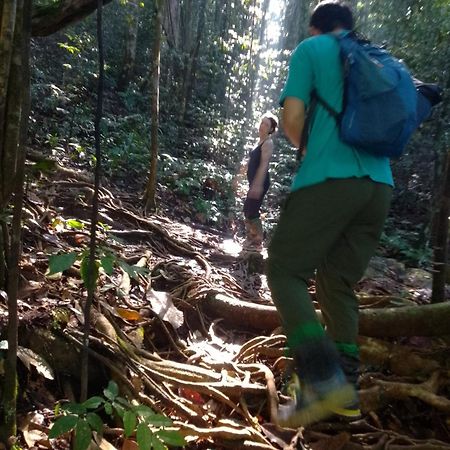 Rainforest River Edge Deniyaya Kültér fotó