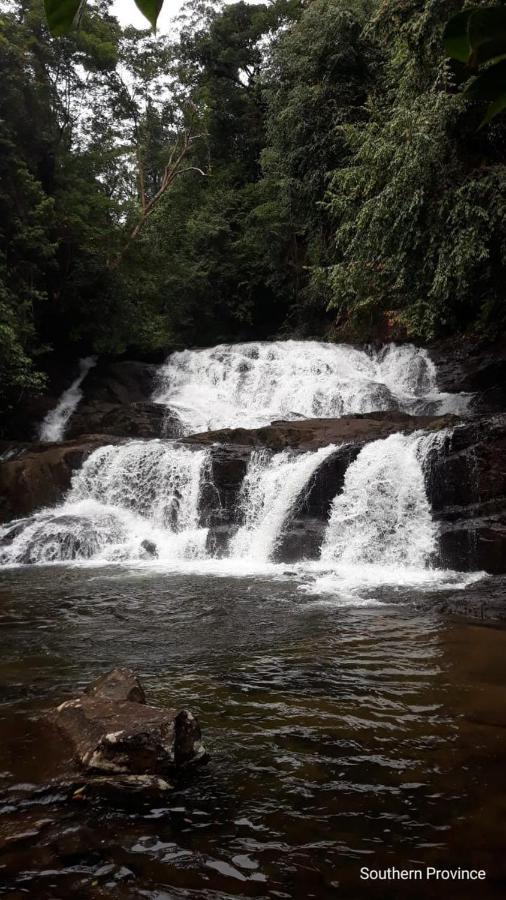 Rainforest River Edge Deniyaya Kültér fotó