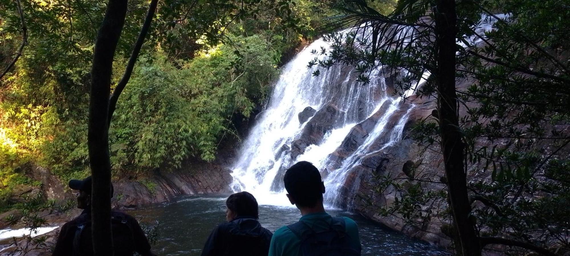 Rainforest River Edge Deniyaya Kültér fotó